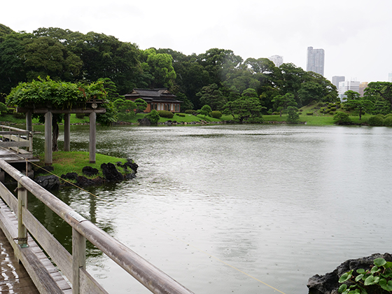 浜離宮恩賜庭園｜散歩スポット紹介コラム ゆったり散歩道｜生活クラブ 