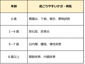 ペット保険の選び方】5つのポイントで解説！必要性と支払い例も  生活 